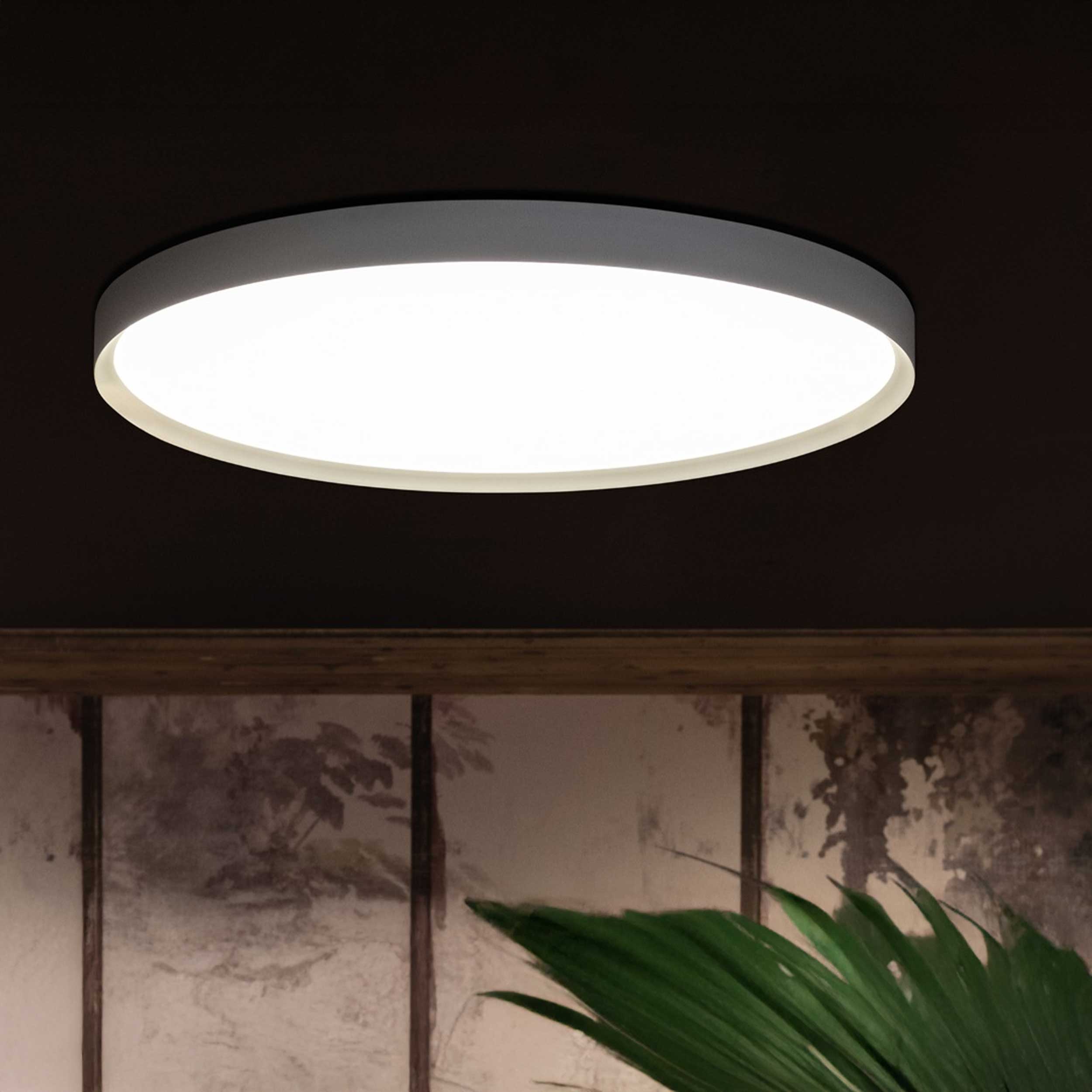 Lombardo Flo T LED circular light IP20 IK06