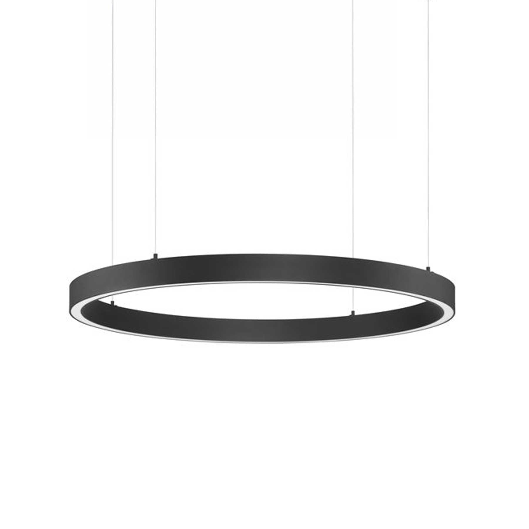 Nova Luce Sting LED kruhové závěsné svítidlo stmívatelné