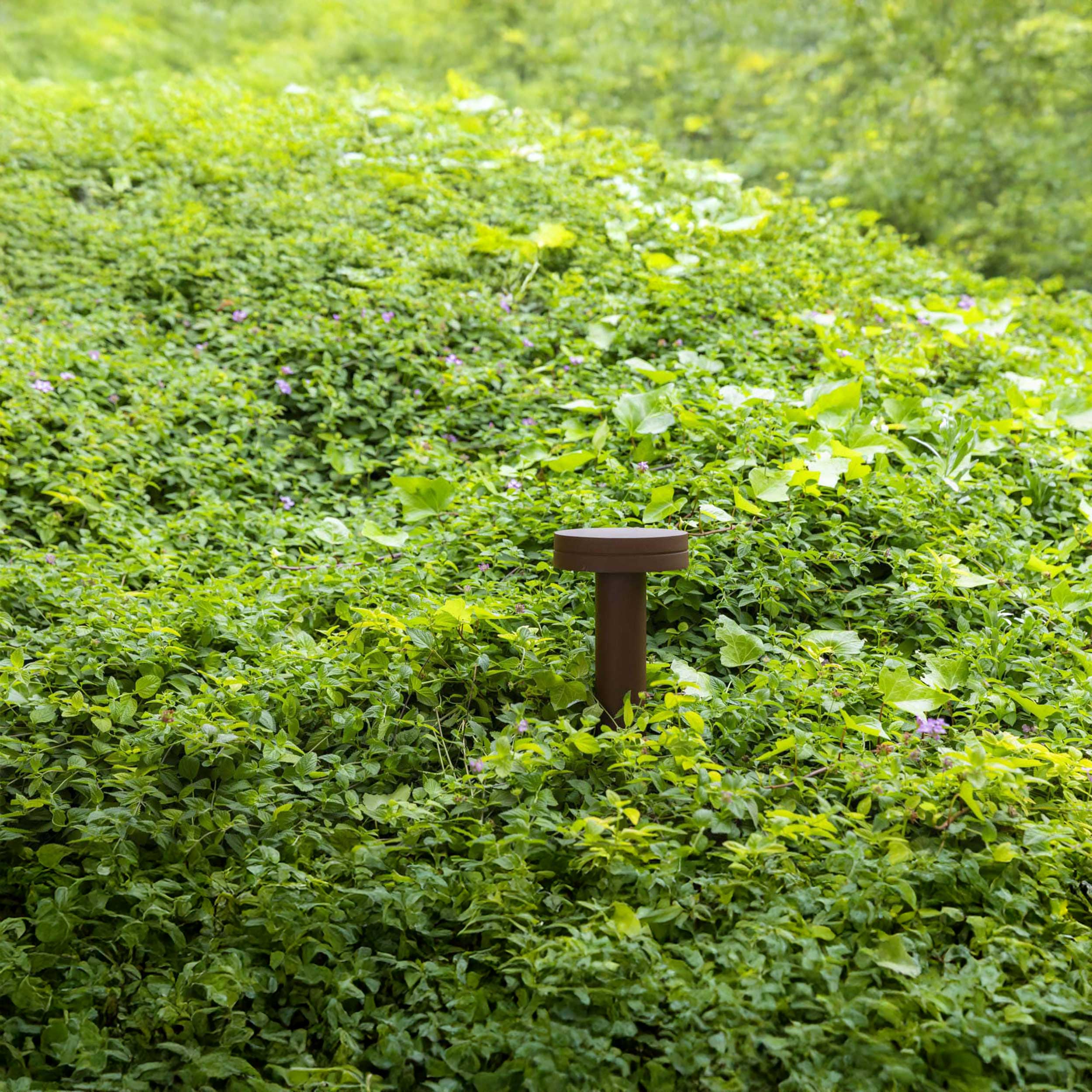 Faro Brume LED glass ceiling light IP44