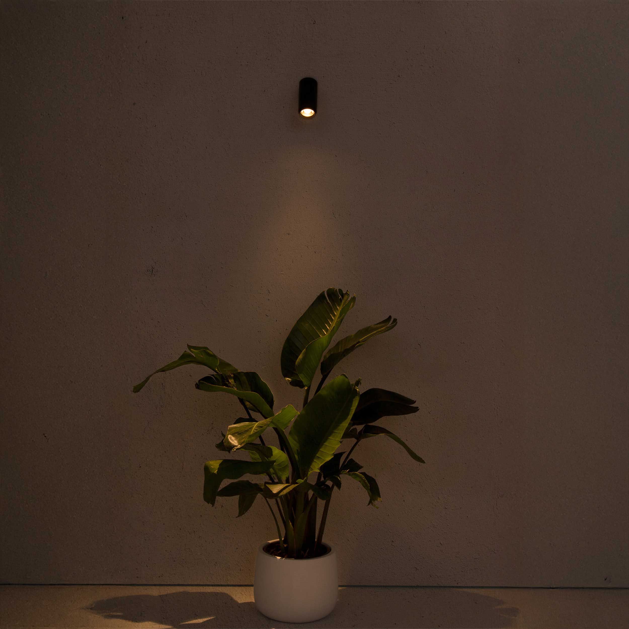 Faro Plom LED стенно външно регулируемо осветително тяло IP64