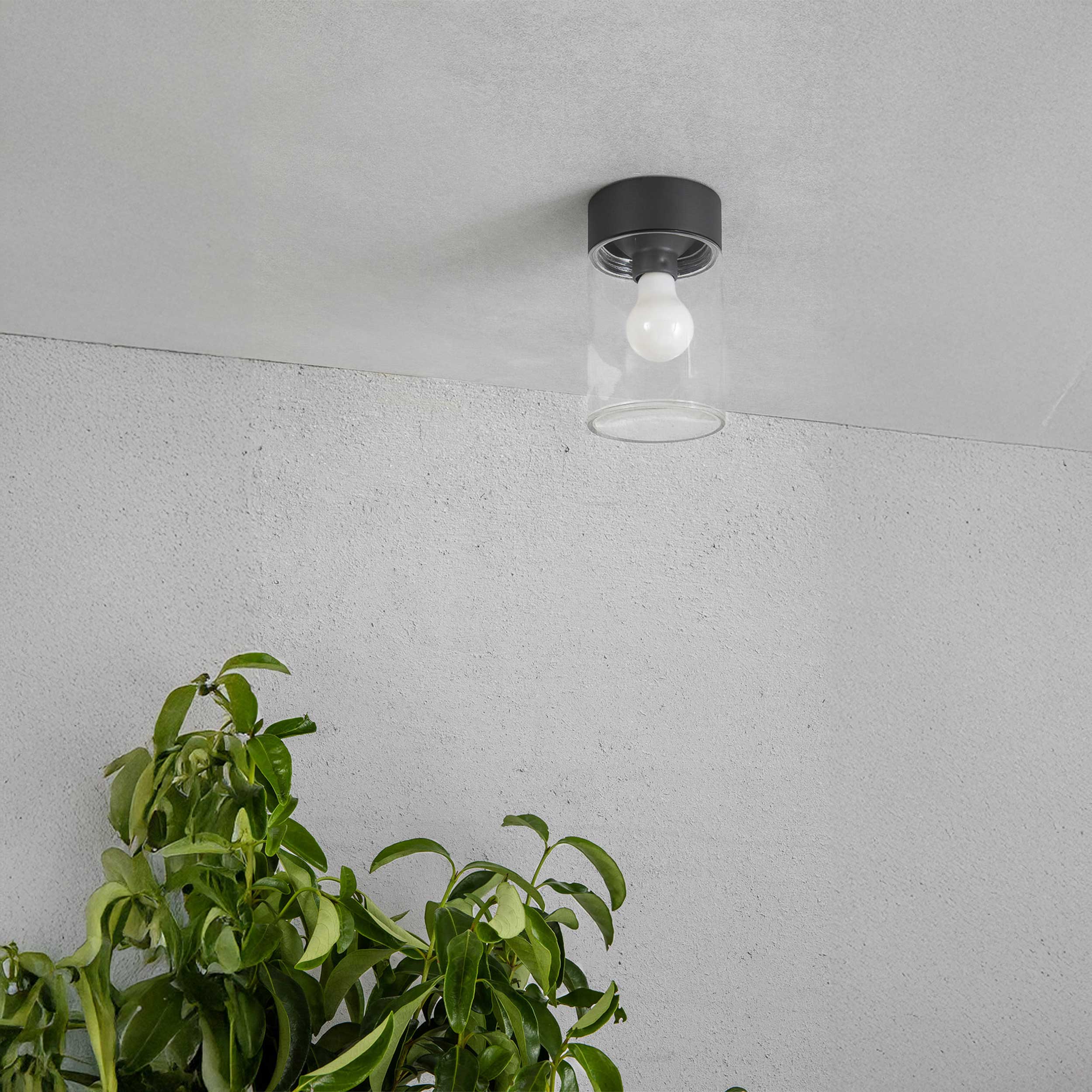 Faro Brume LED glass ceiling light IP44