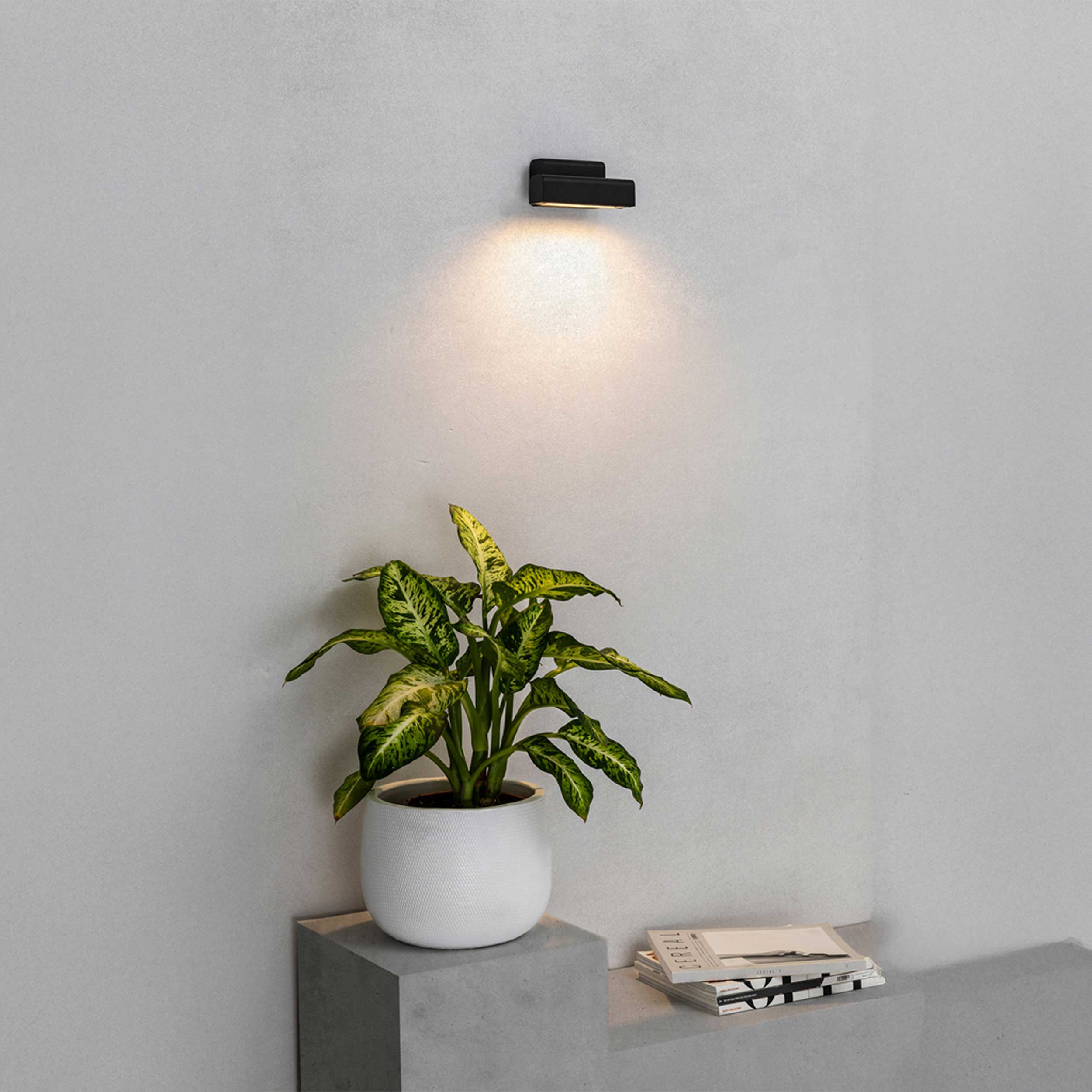 Faro Brume LED glass ceiling light IP44