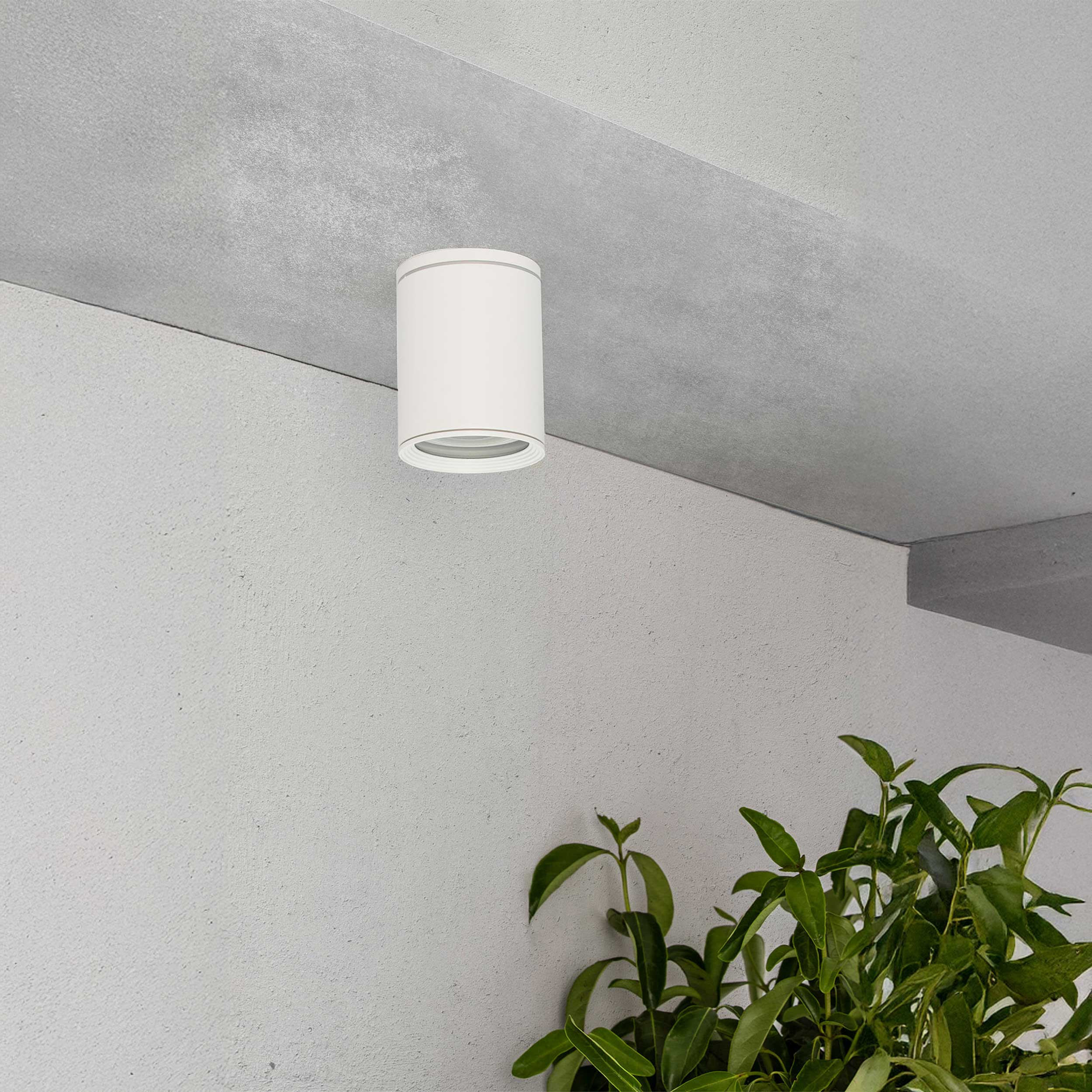 Faro Brume LED glass ceiling light IP44